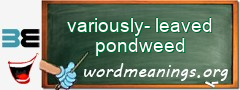 WordMeaning blackboard for variously-leaved pondweed